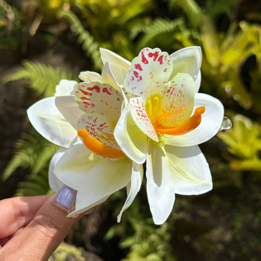 CATTLEYA ORCHID Claw Clip - White