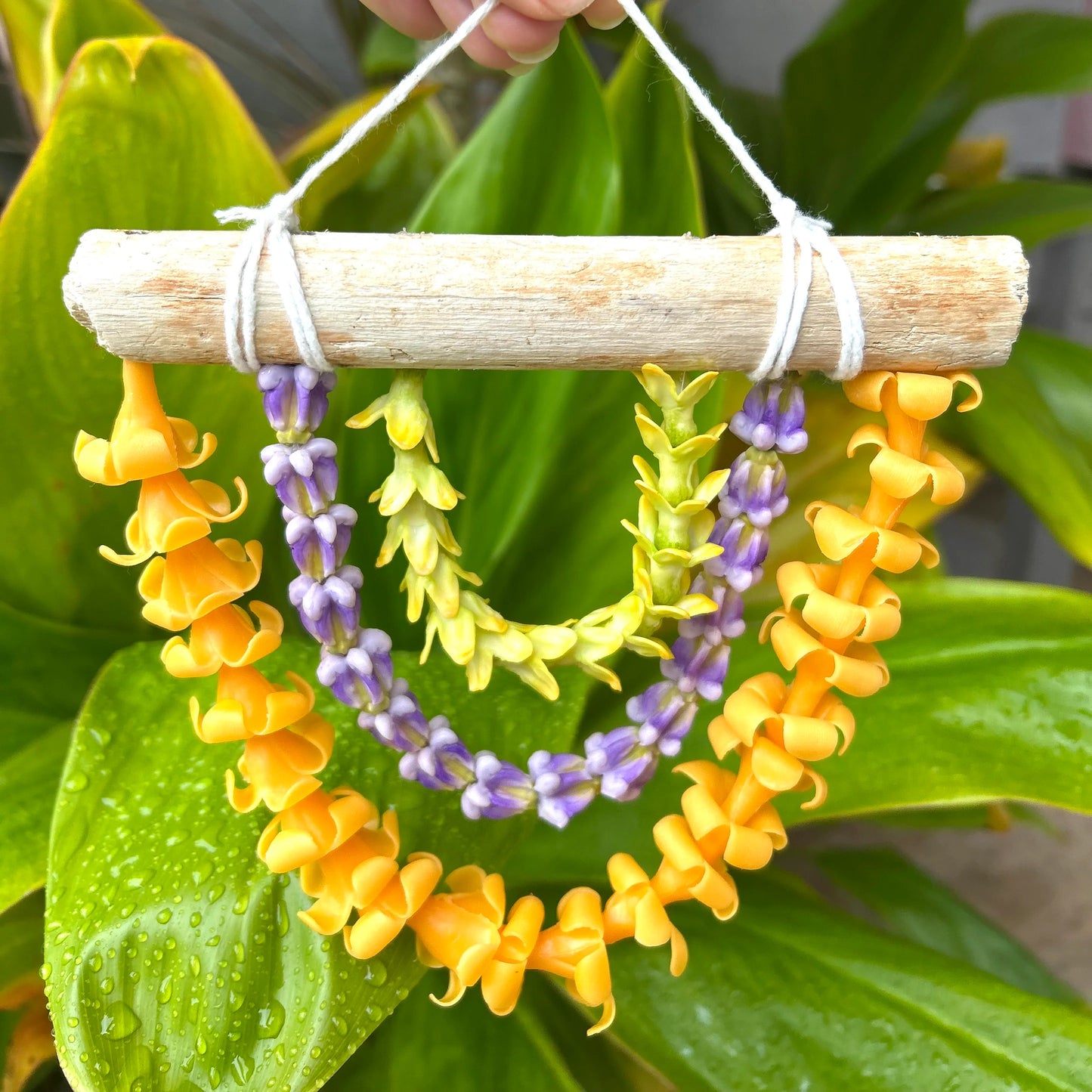 PAKALANA PURPLE CROWN / PUAKENIKENI Lei Wall Decor