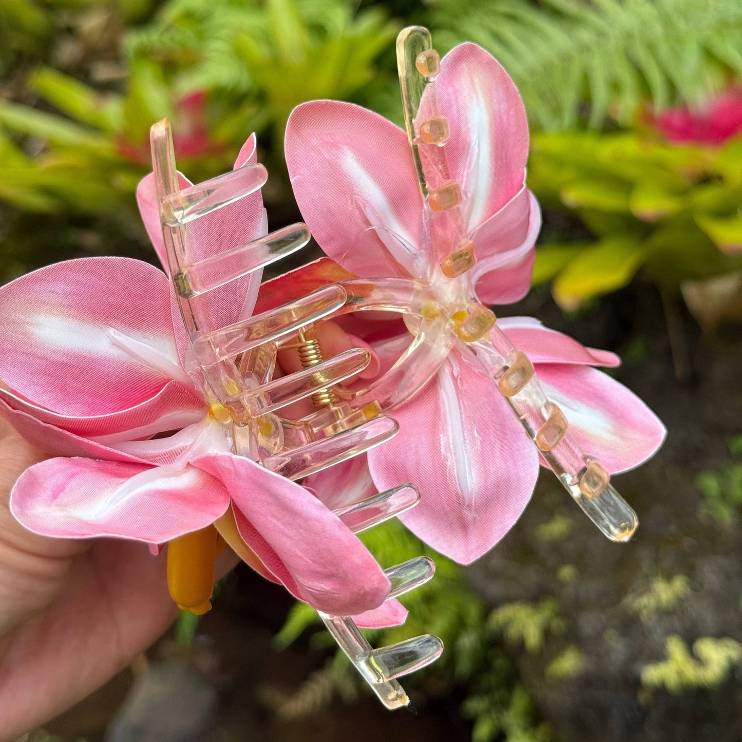 CATTLEYA ORCHID Claw Clip - Amber