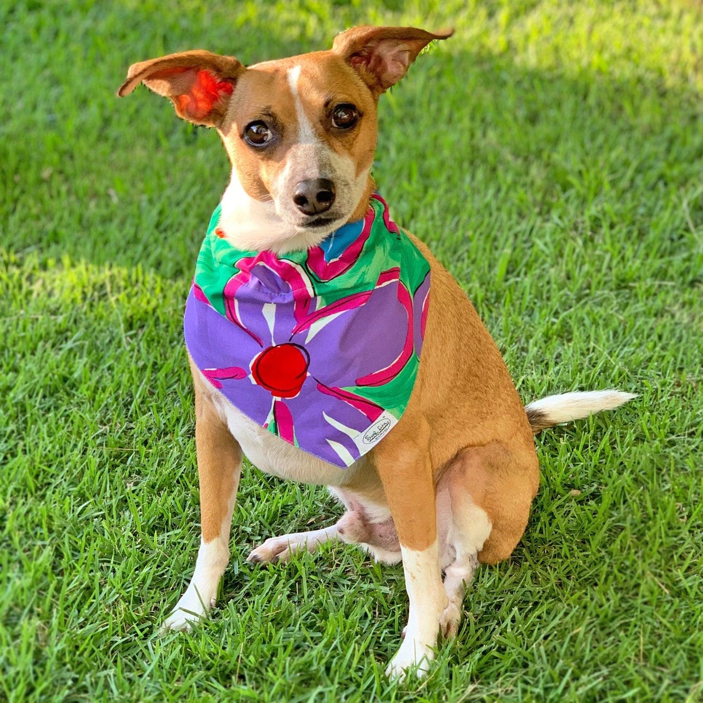 PET COLLAR SCARF Na Pua Flower