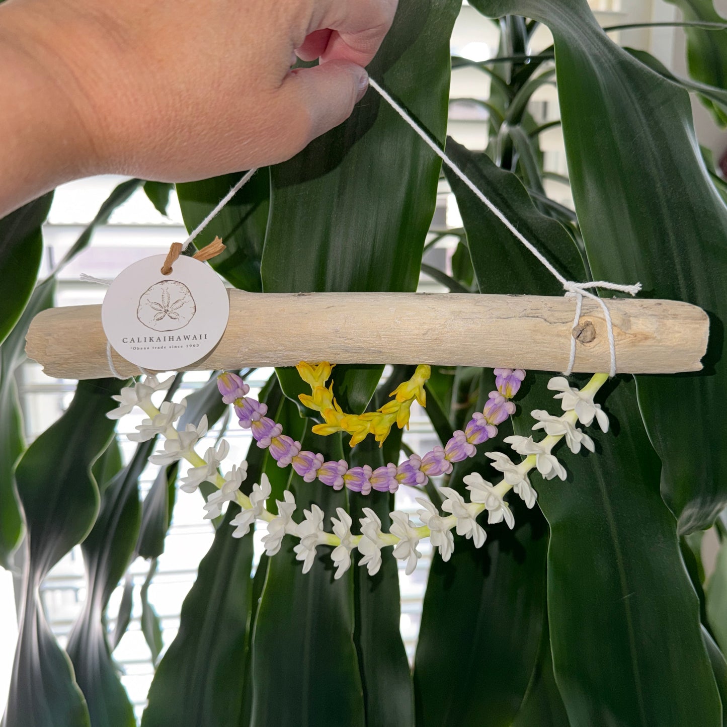 PAKALANA / PUAKENIKENI / PIKAKE Lei Wall Decor 10x5
