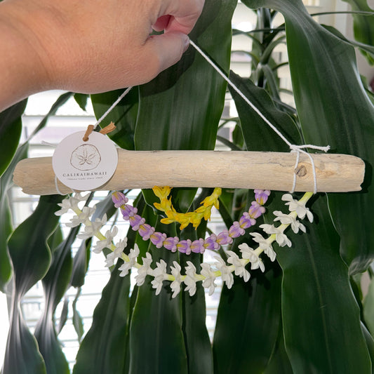 PAKALANA / PUAKENIKENI / PIKAKE Lei Wall Decor 10x5