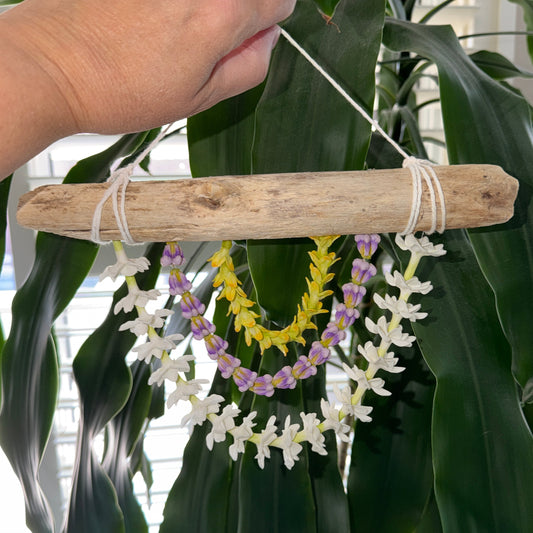 PAKALANA / PUAKENIKENI / PIKAKE Lei Wall Decor 10.5x7