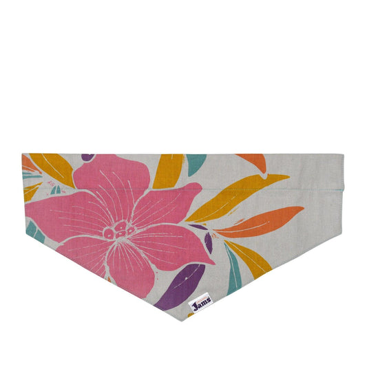 PET COLLAR SCARF Dwarfana Natural & Dragon Fly Orange