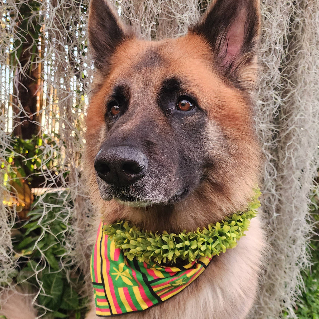 GREEN ROSE Pet Lei - Large