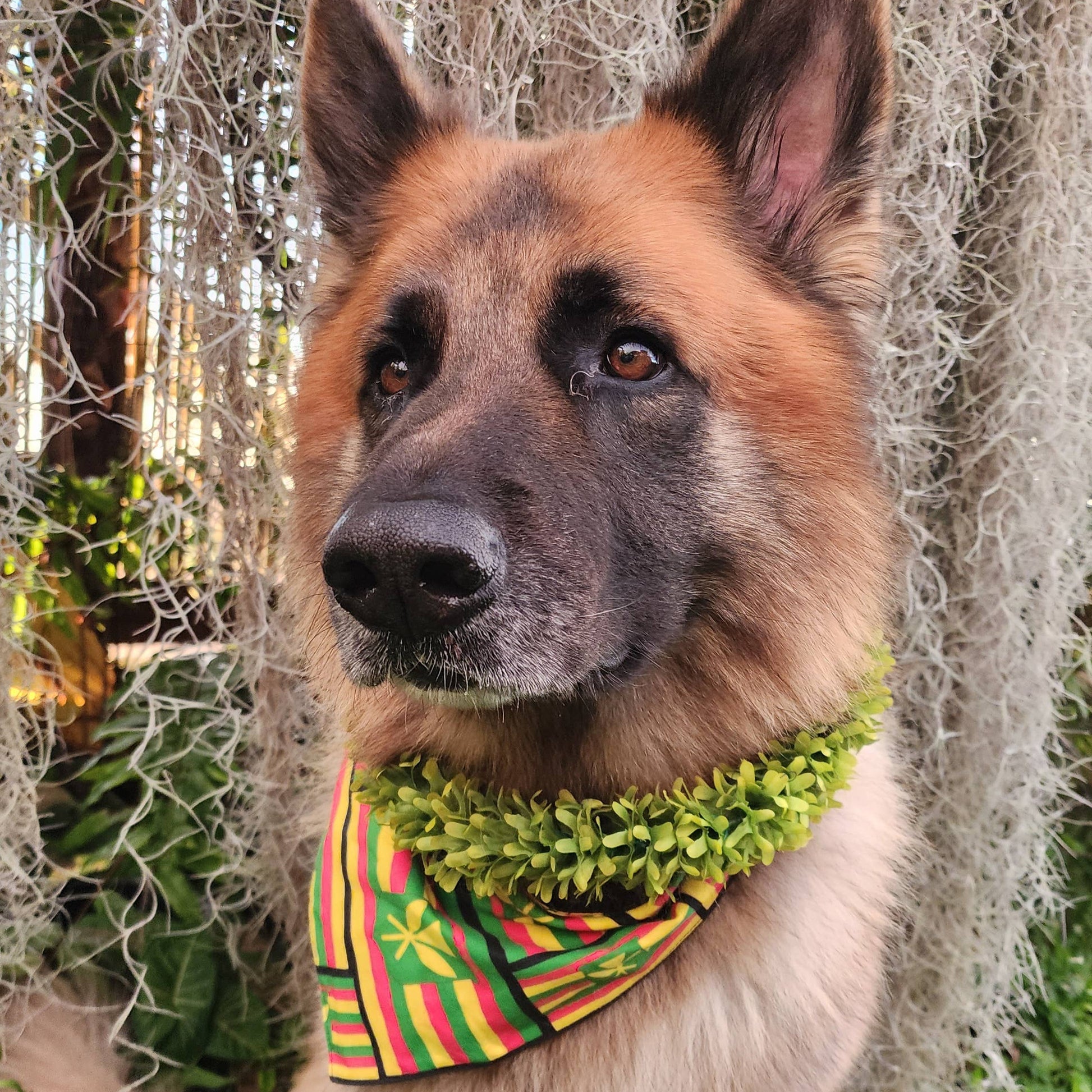 GREEN ROSE Pet Lei - Large